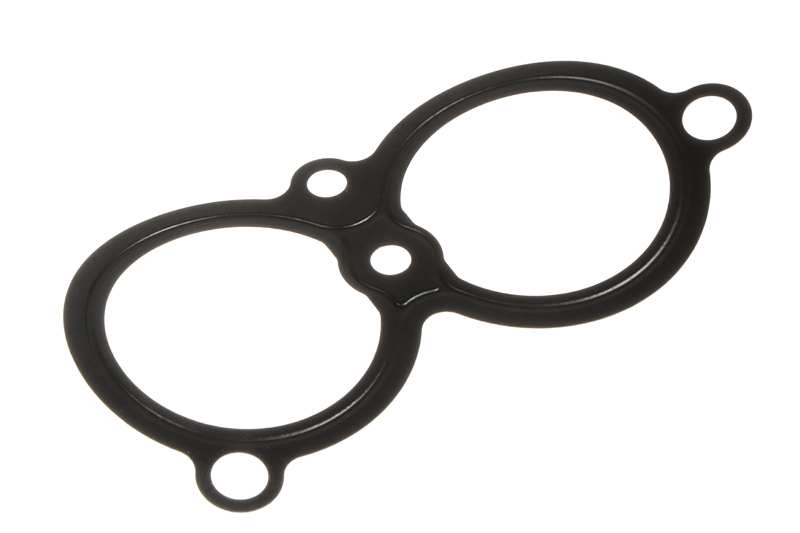 Ansaugbrückedichtung